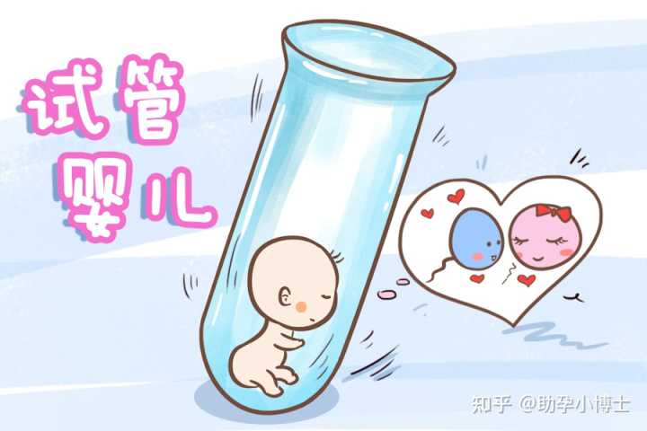 武汉供卵试管中心名单权威发布,武汉供卵费用多少钱-香港验血机构有不准的吗